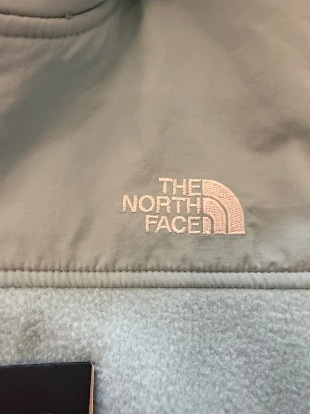 The North Face Pale Blue Hooded Fleece Jacket